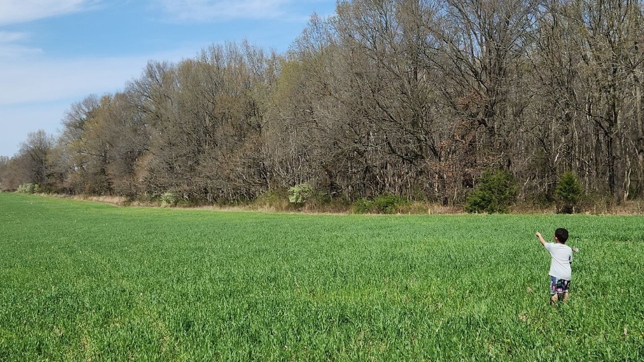 Photo of Bedroom in Saline County