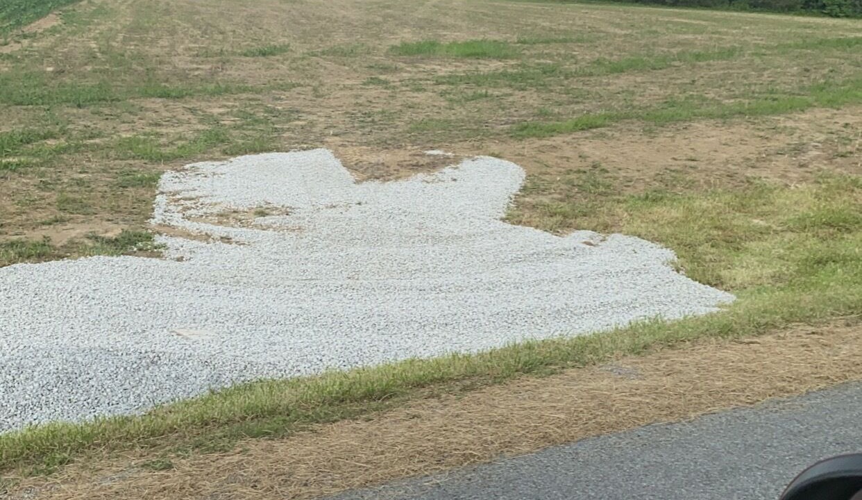 Photo of Others in Saline County