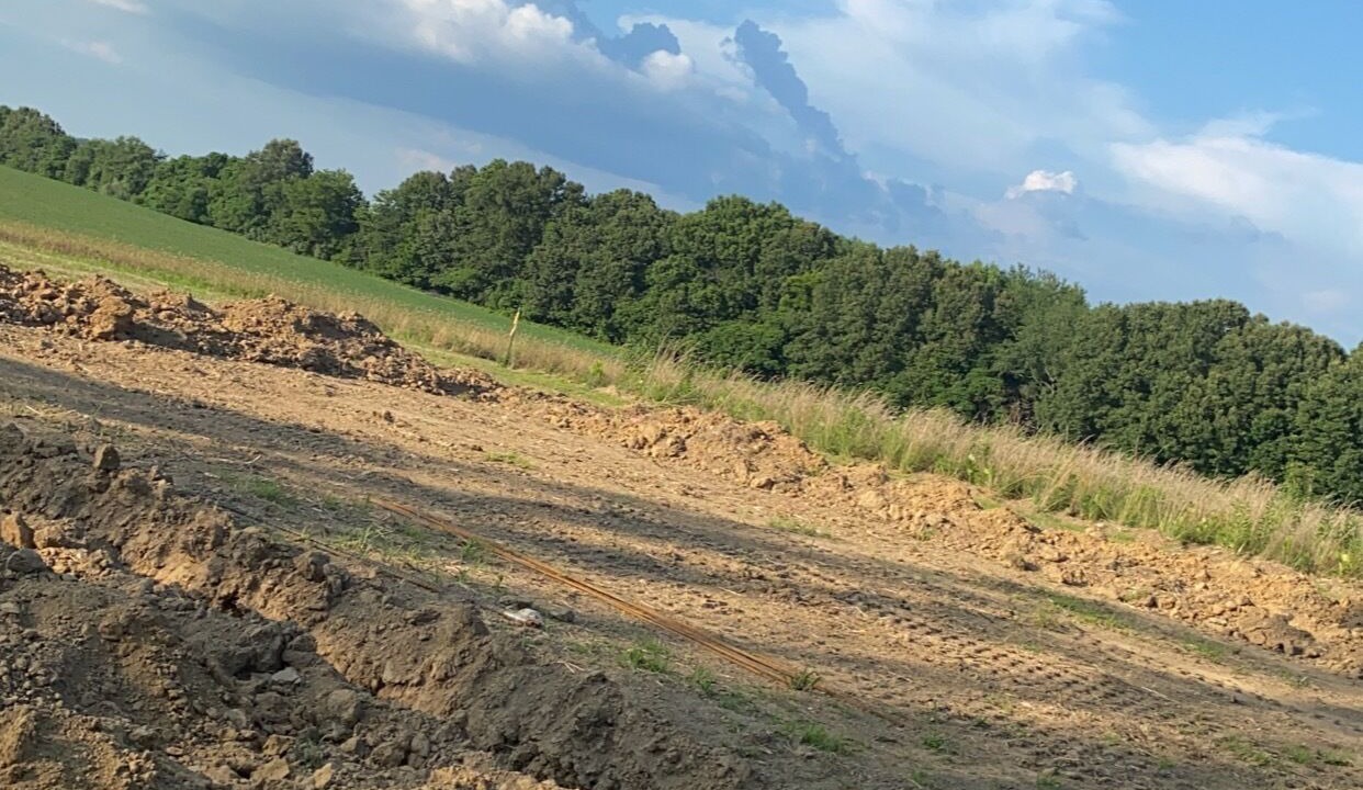 Photo of Outdoor in Saline County