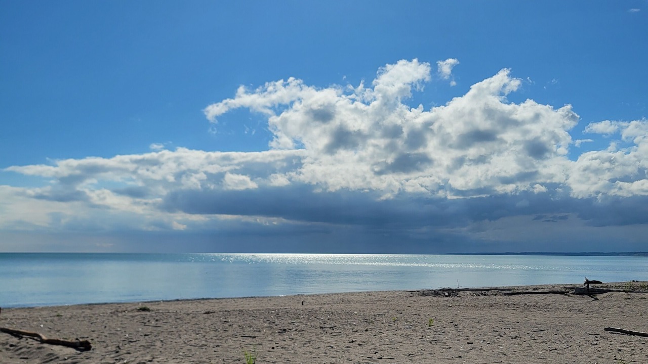 Photo of Others in Port Stanley