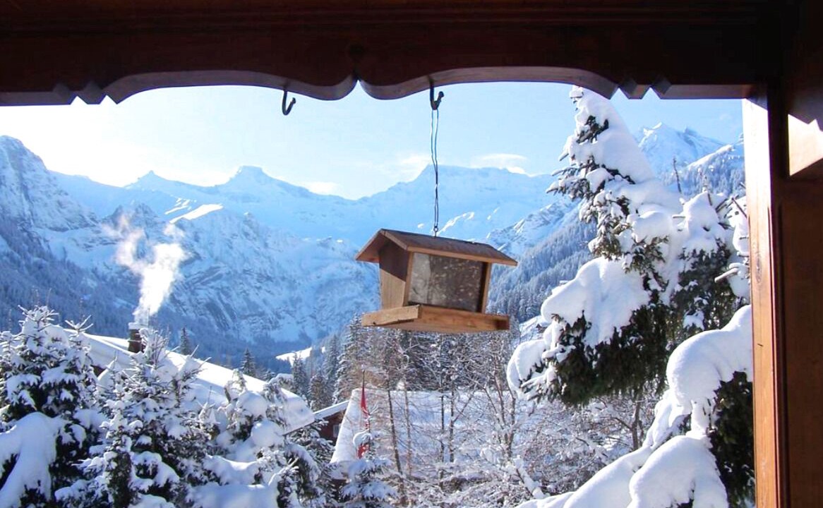 Photo of Others in Adelboden