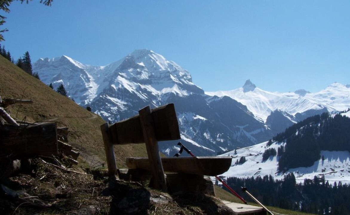 Photo of Others in Adelboden