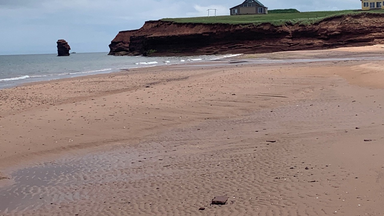 Photo of Others in Sea View