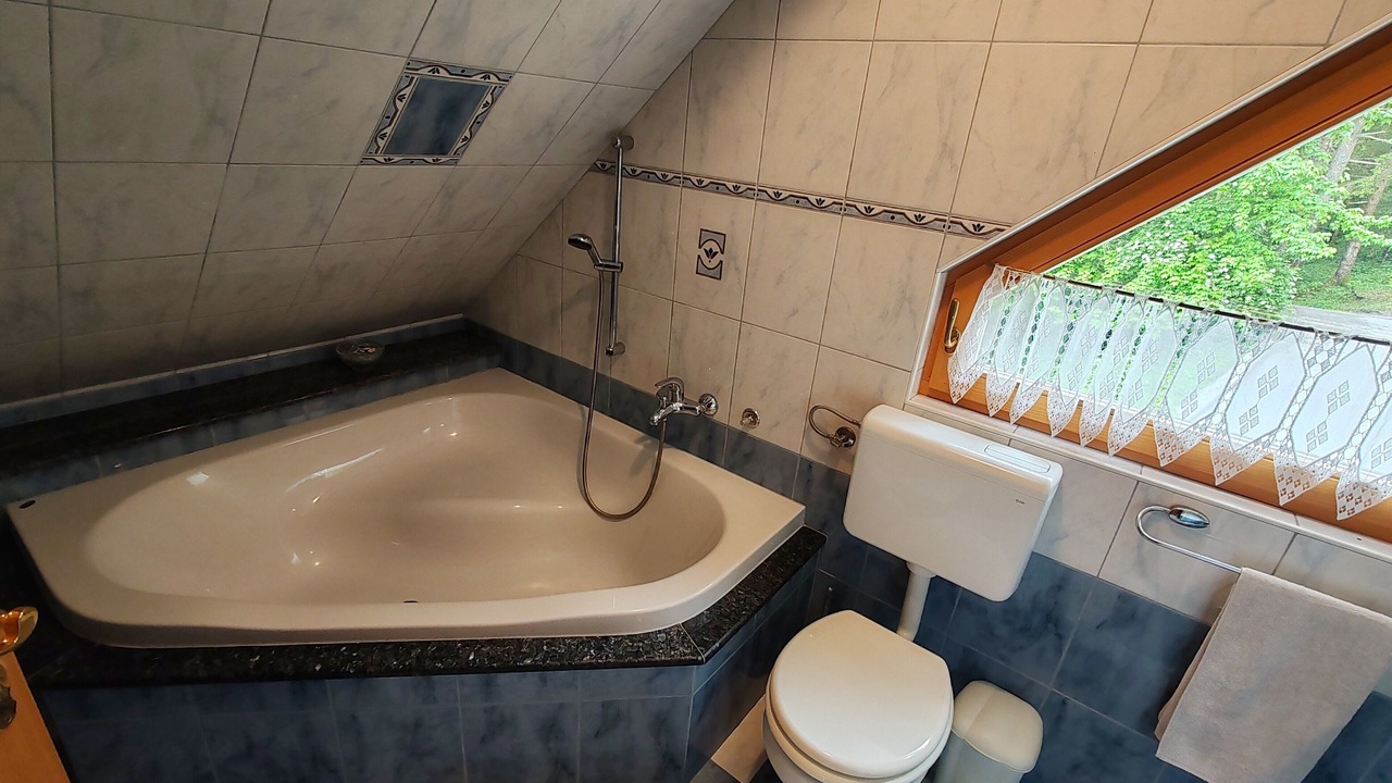 Photo of Bathroom in Preddvor