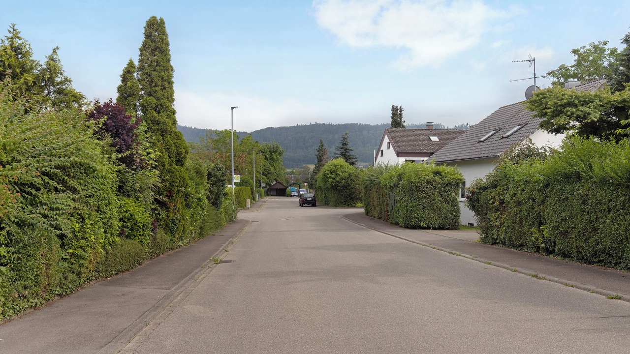Photo of Others in Rielasingen-Worblingen