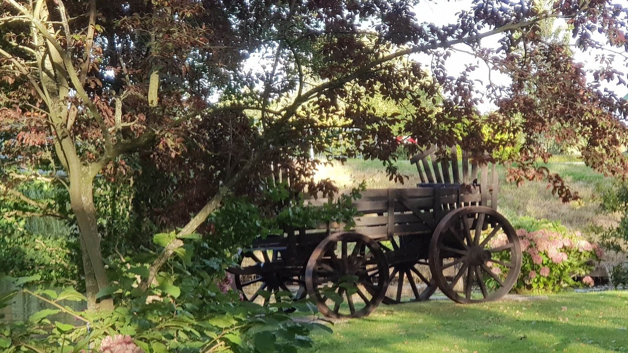 Photo of Outdoor in Giethoorn