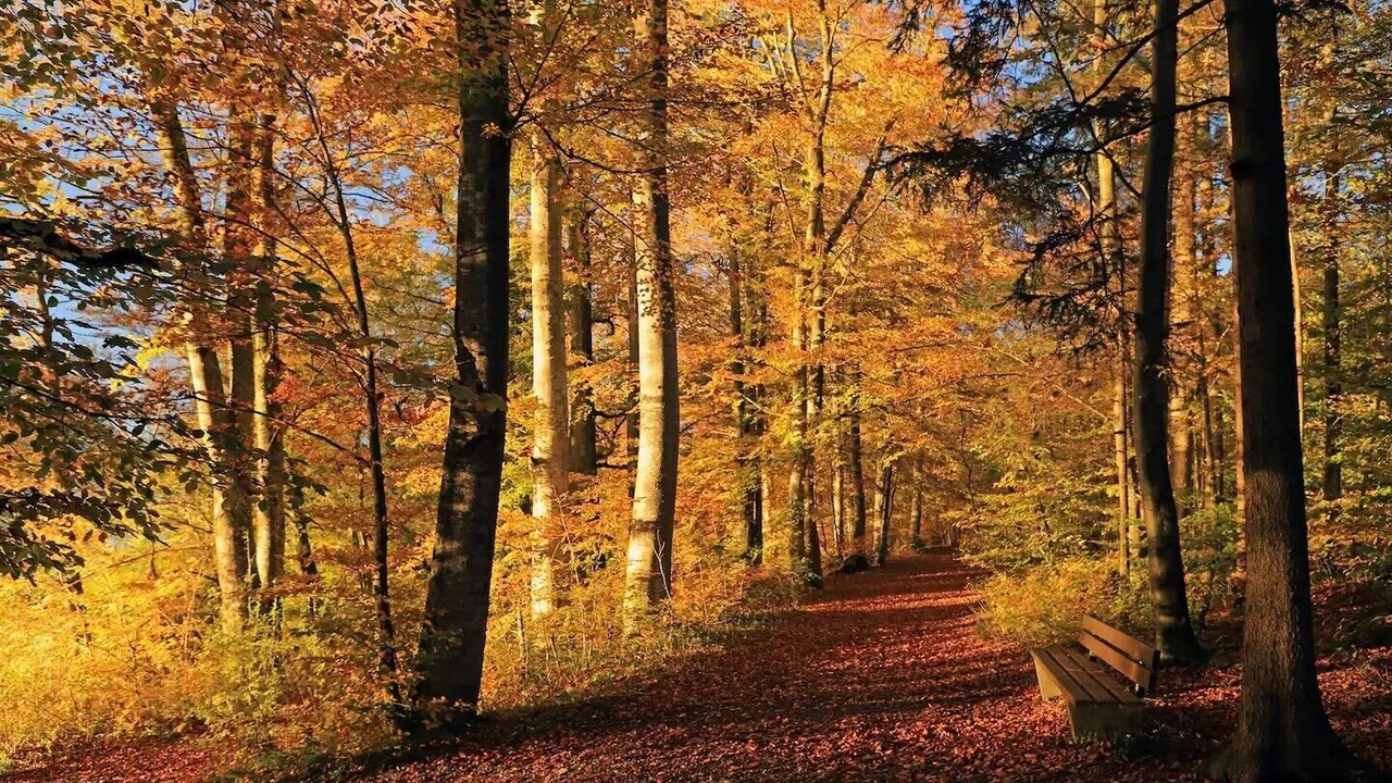 Photo of Outdoor in Kulm