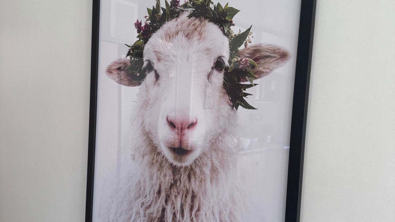 Photo of Others in Lauwersoog