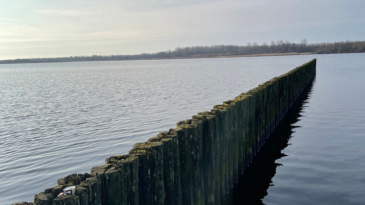 Photo of Others in Lauwersoog