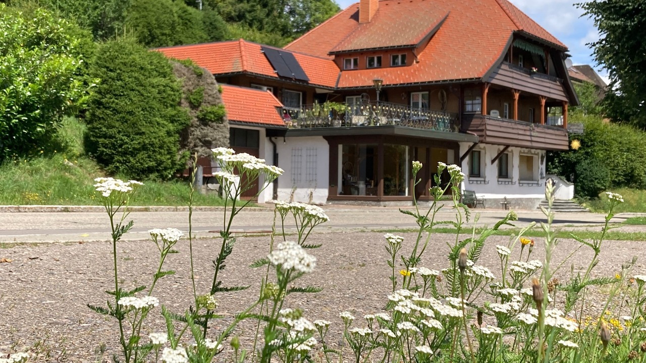 Photo of Outdoor in Friedenweiler