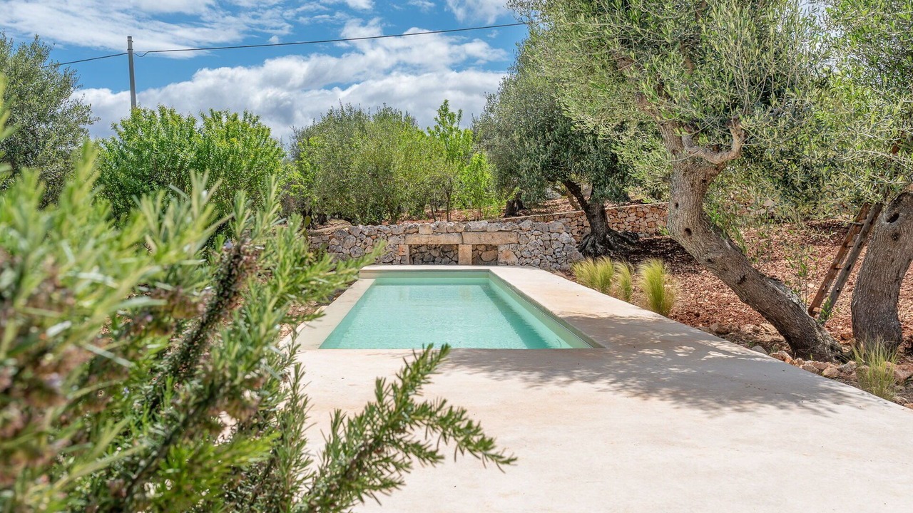 Photo of Others in Ostuni