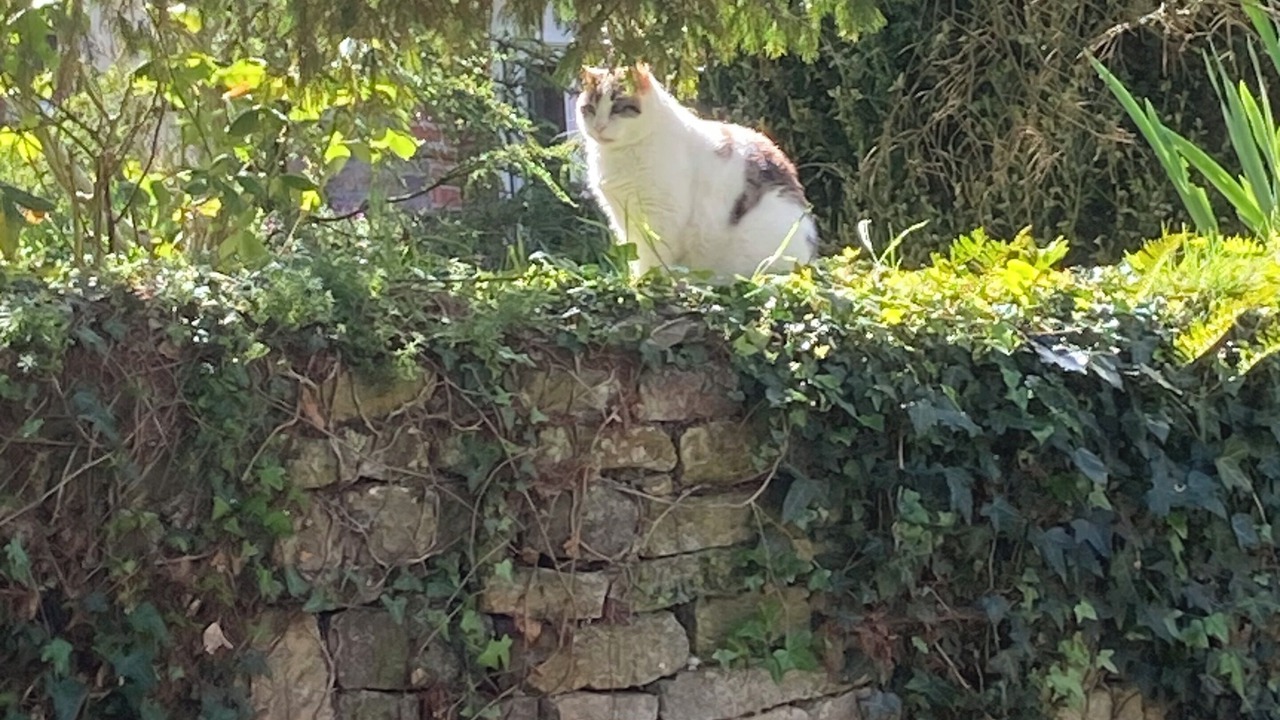 Photo of Outdoor in Clecy