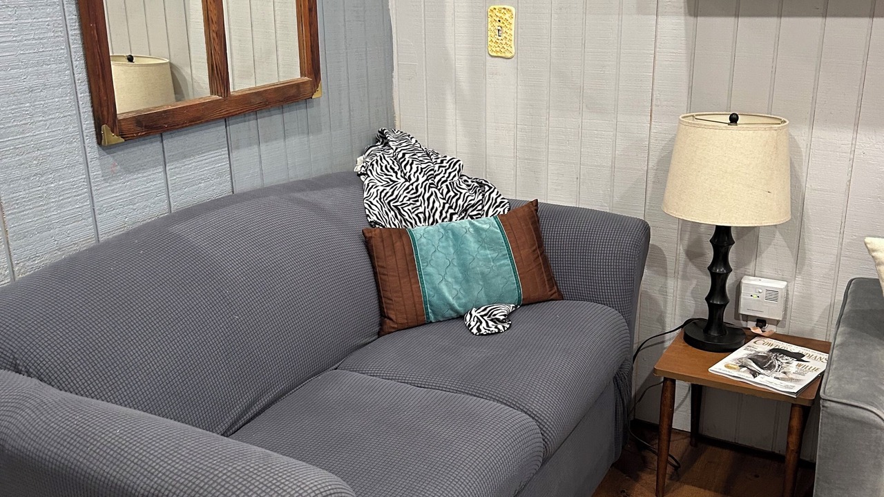 Photo of Livingroom in Cherokee Village