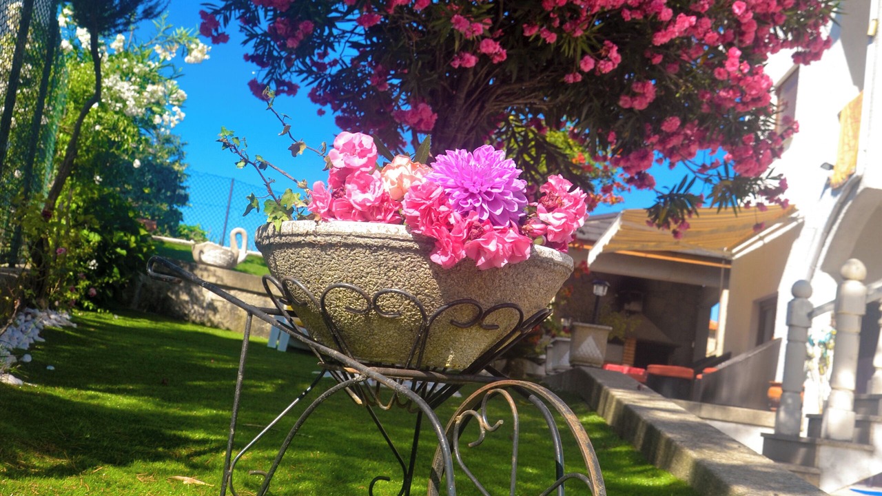 Photo of Outdoor in Mondim de Basto