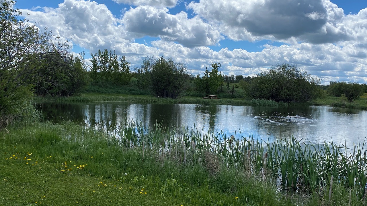 Photo of Others in Strathcona County