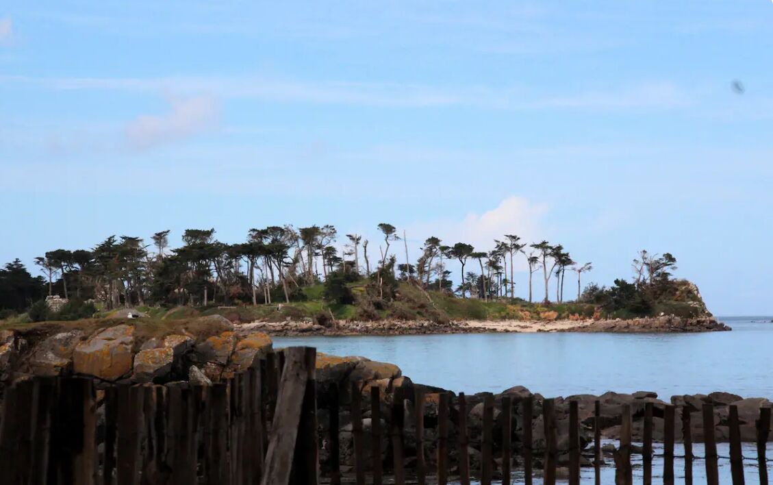 Photo of Others in Roscoff