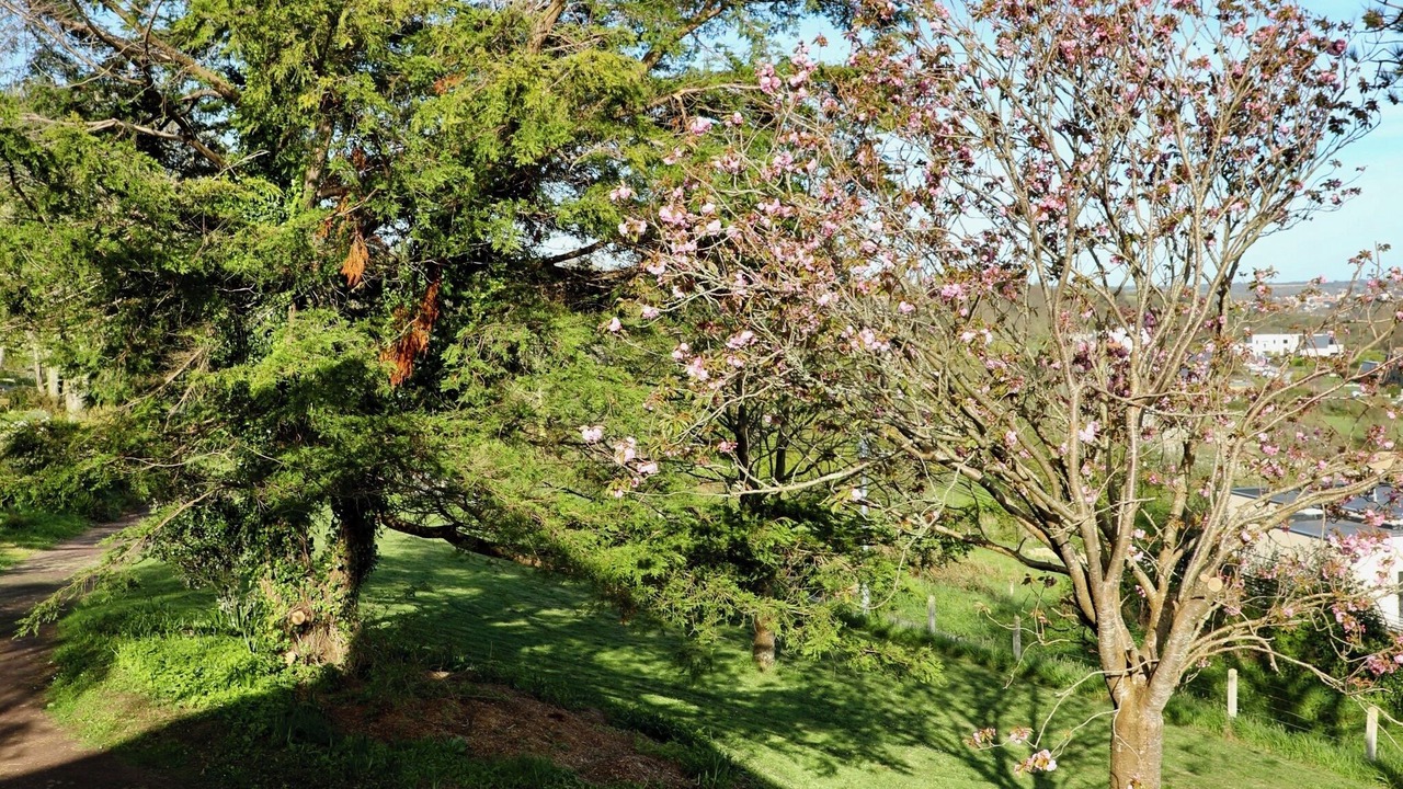 Photo of Outdoor in Barneville-Carteret