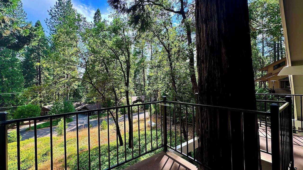 Photo of Outdoor in Pollock Pines