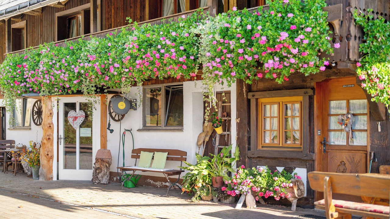 Photo of Outdoor in Hornberg