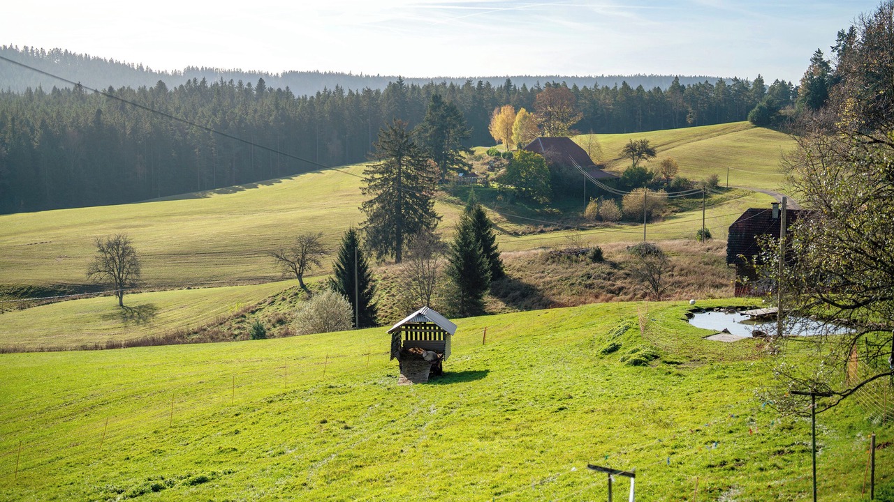 Photo of Others in Hornberg