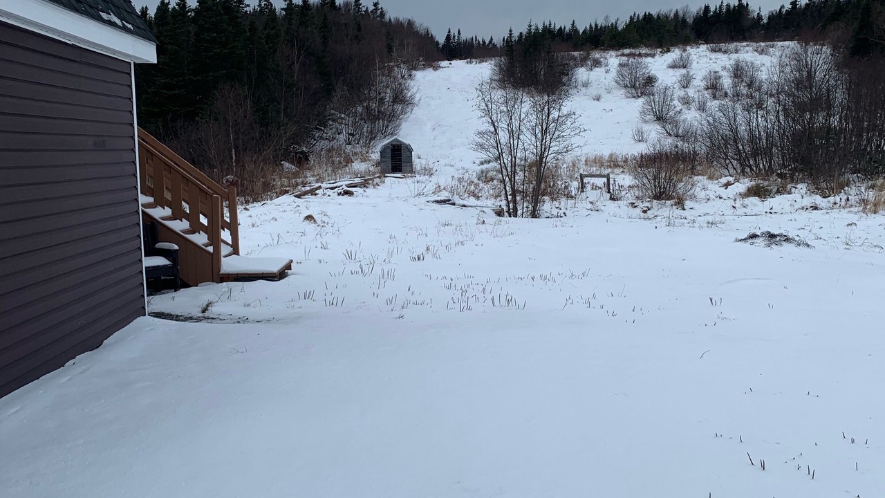 Photo of Others in Terra Nova