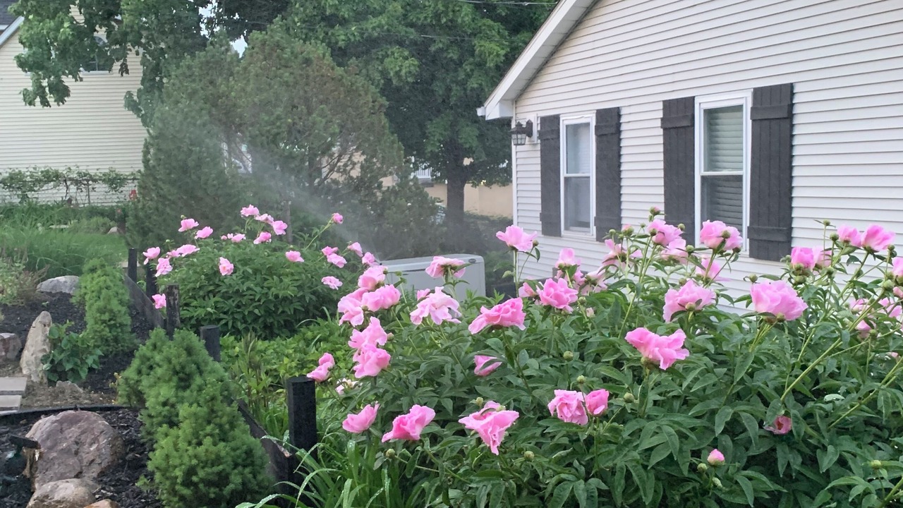 Photo of Outdoor in Fenton