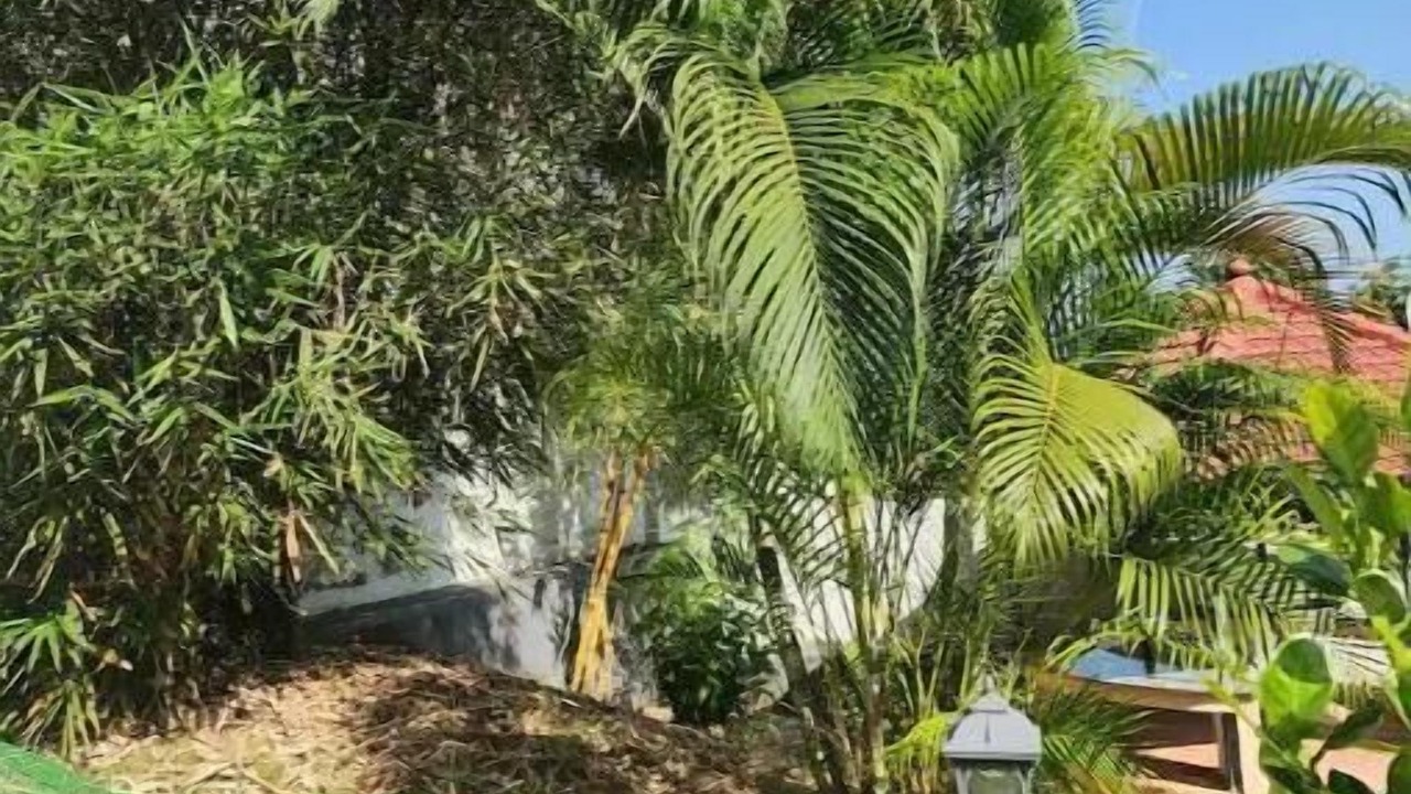 Photo of Outdoor in Thiruvananthapuram