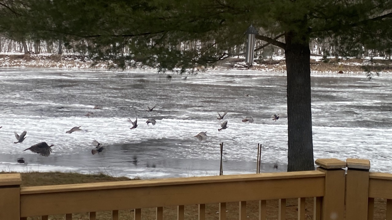 Photo of Outdoor in Ingalls
