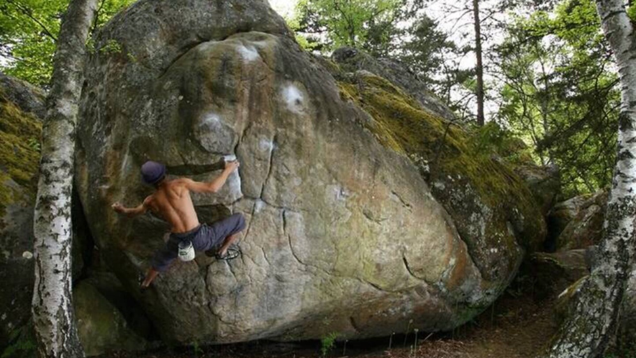 Photo of Others in Acheres-la-Foret