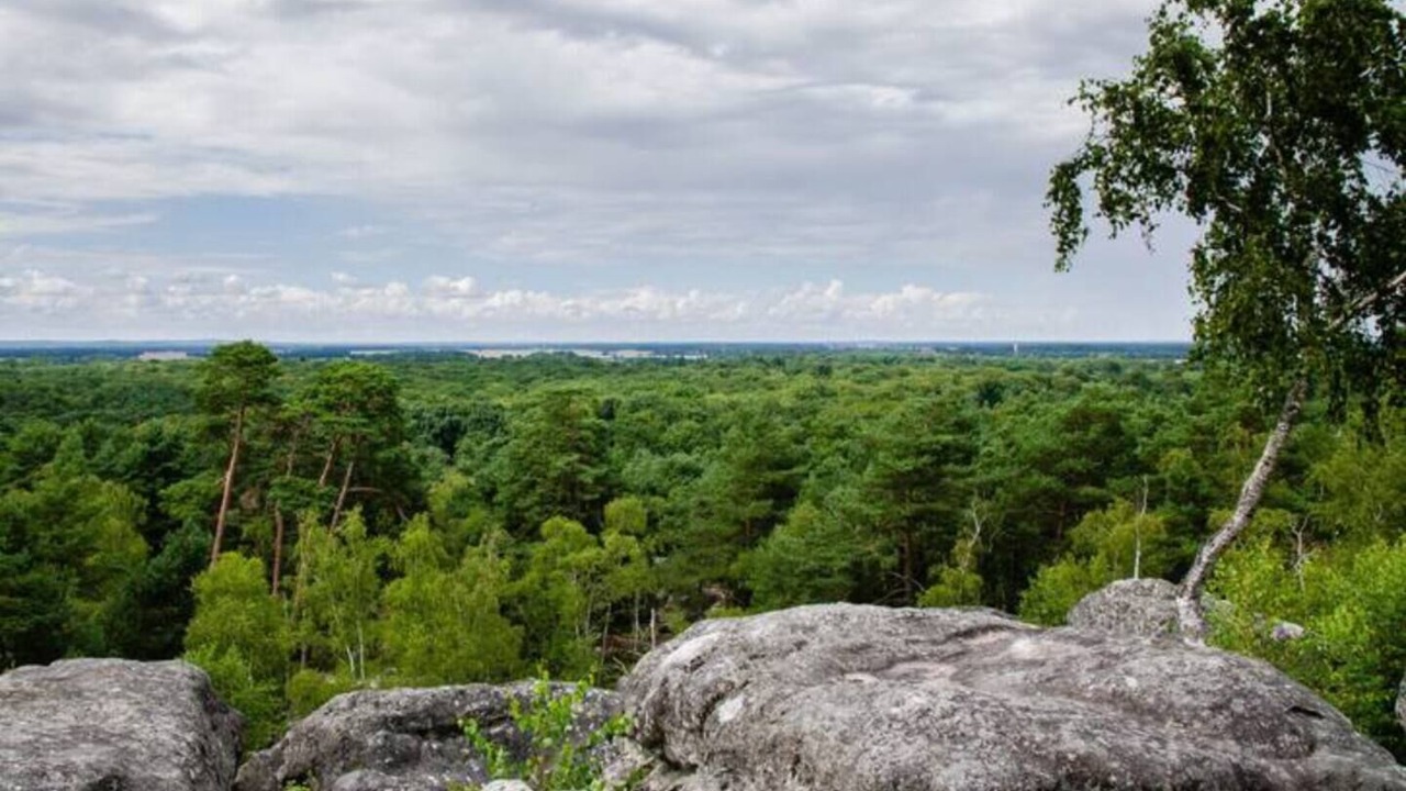 Photo of Outdoor in Acheres-la-Foret