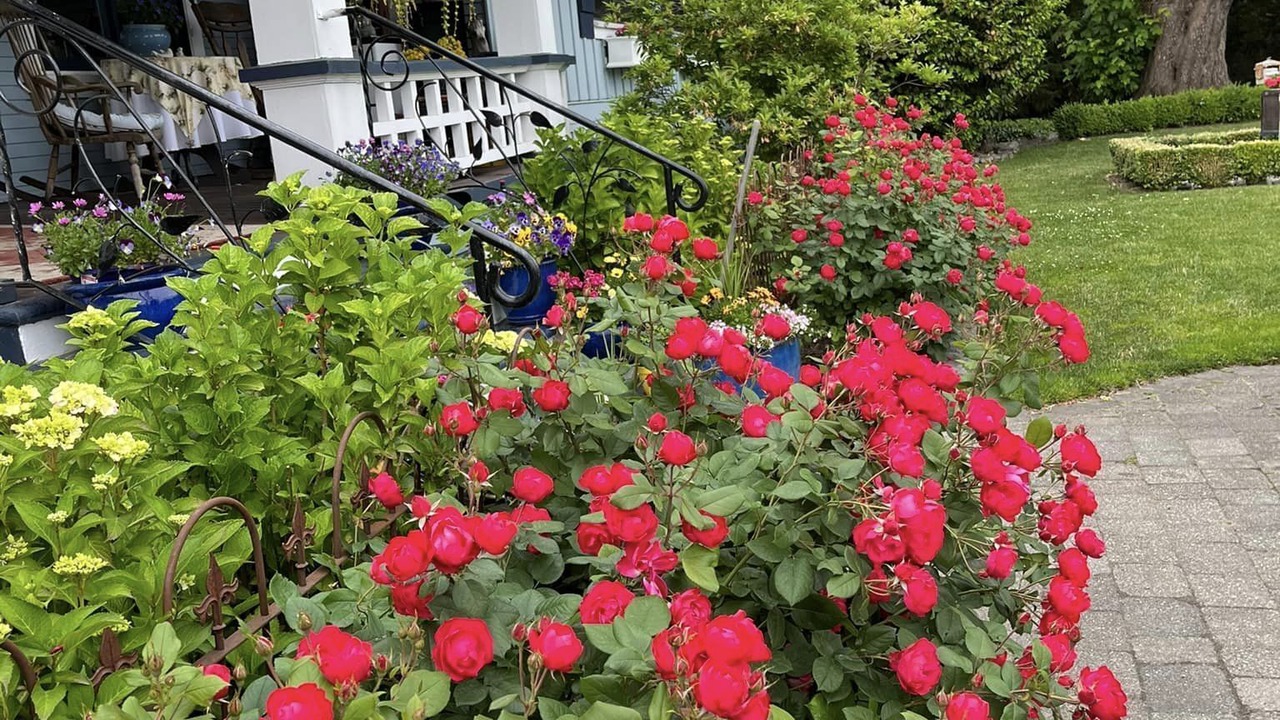 Photo of Outdoor in Chilliwack Proper Village West