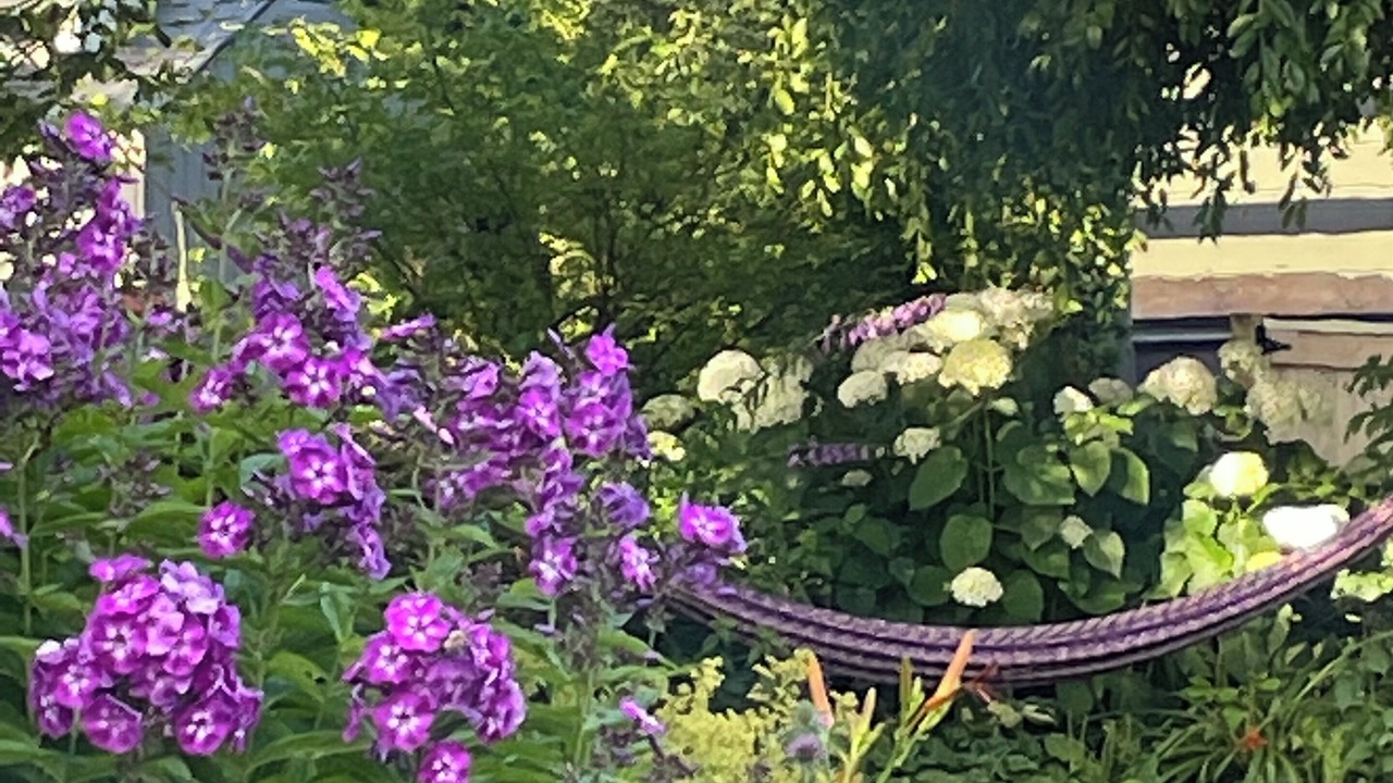 Photo of Outdoor in Sardis