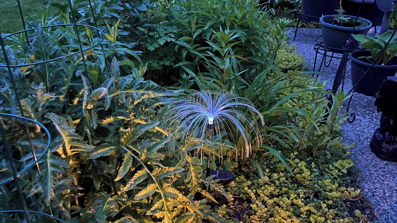 Photo of Outdoor in Sardis