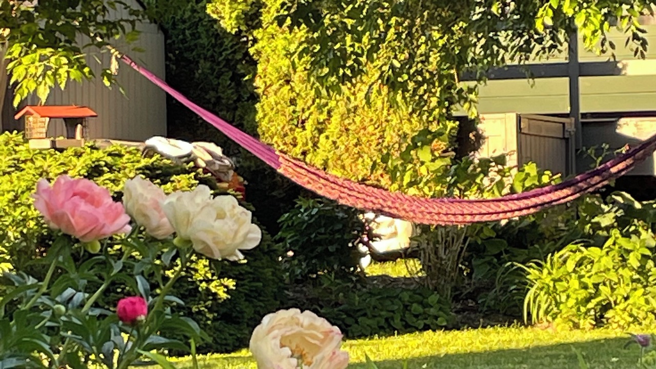 Photo of Outdoor in Sardis