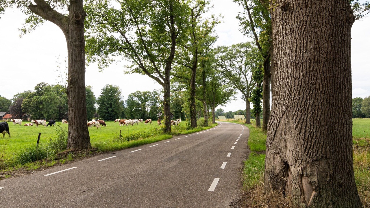 Photo of Others in Municipality of Enschede