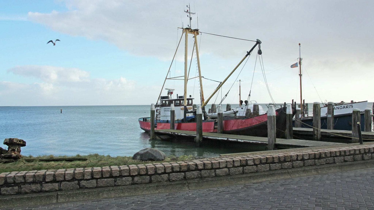 Photo of Others in Midsland