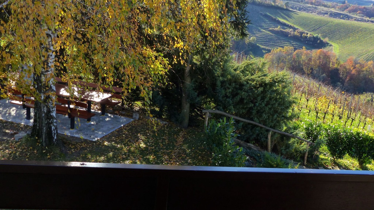 Photo of Others in Ljutomer