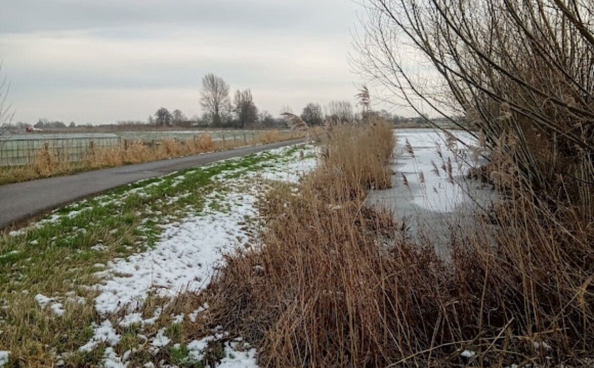 Photo of Others in De Kwakel