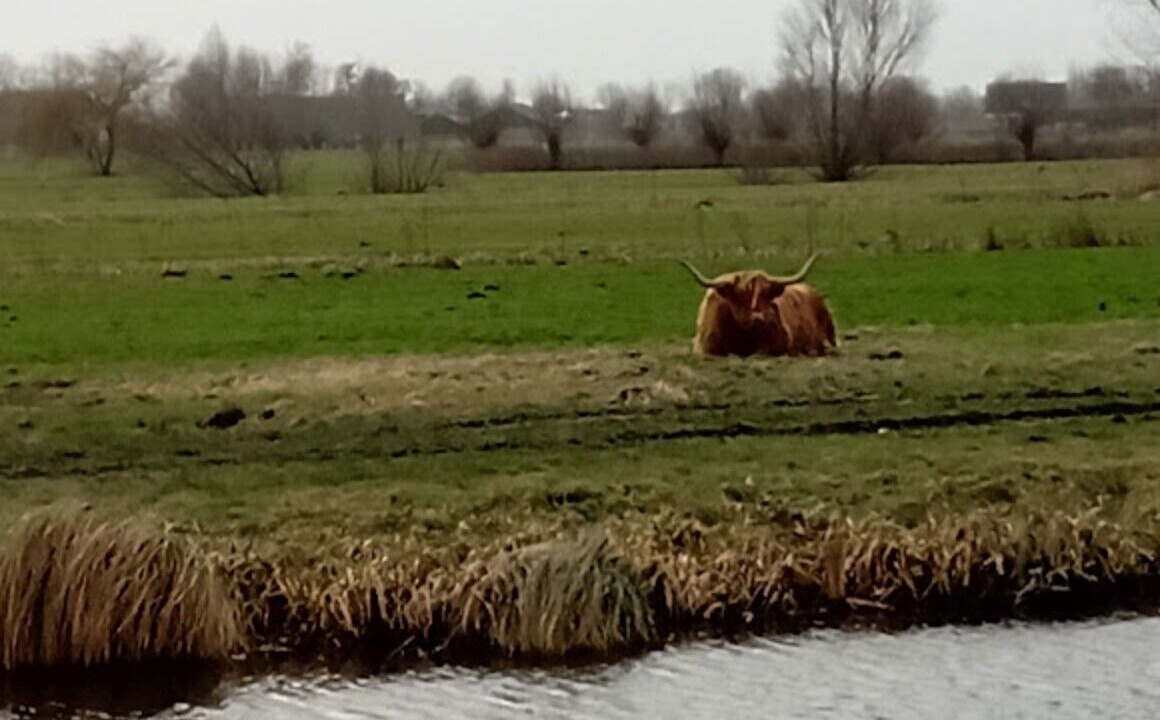 Photo of Outdoor in De Kwakel