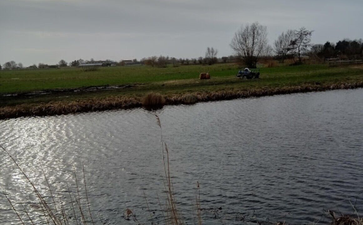 Photo of Others in De Kwakel