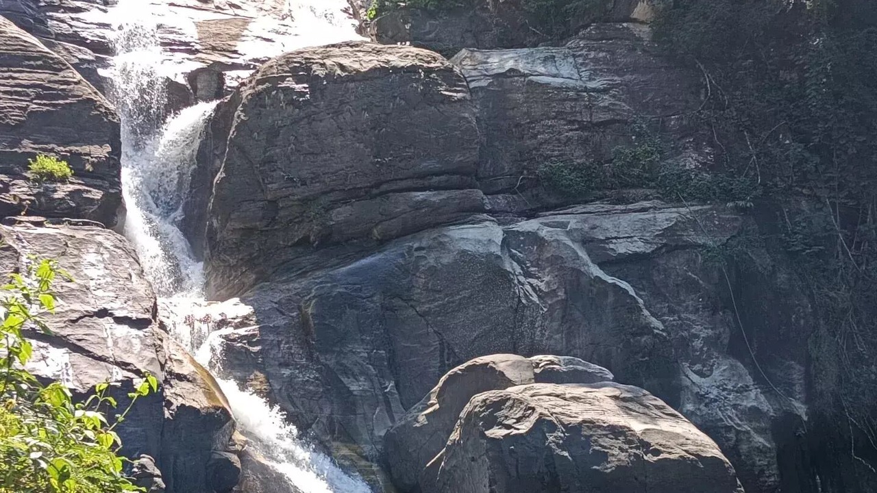 Photo of Others in Nedumangad