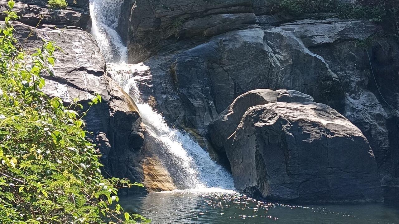 Photo of Outdoor in Nedumangad
