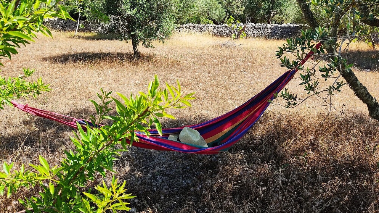 Photo of Outdoor in Fumarola
