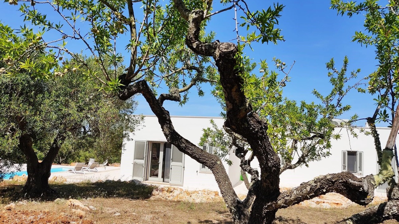 Photo of Outdoor in Fumarola