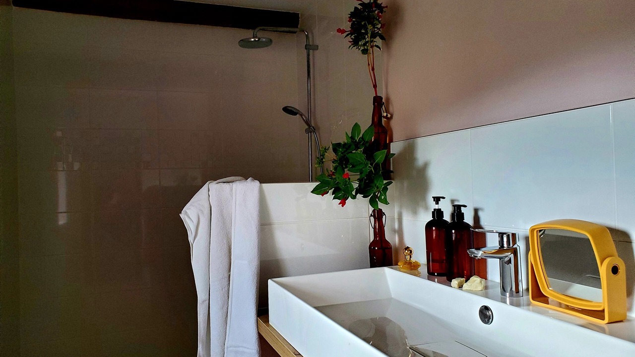 Photo of Bathroom in Bize-Minervois