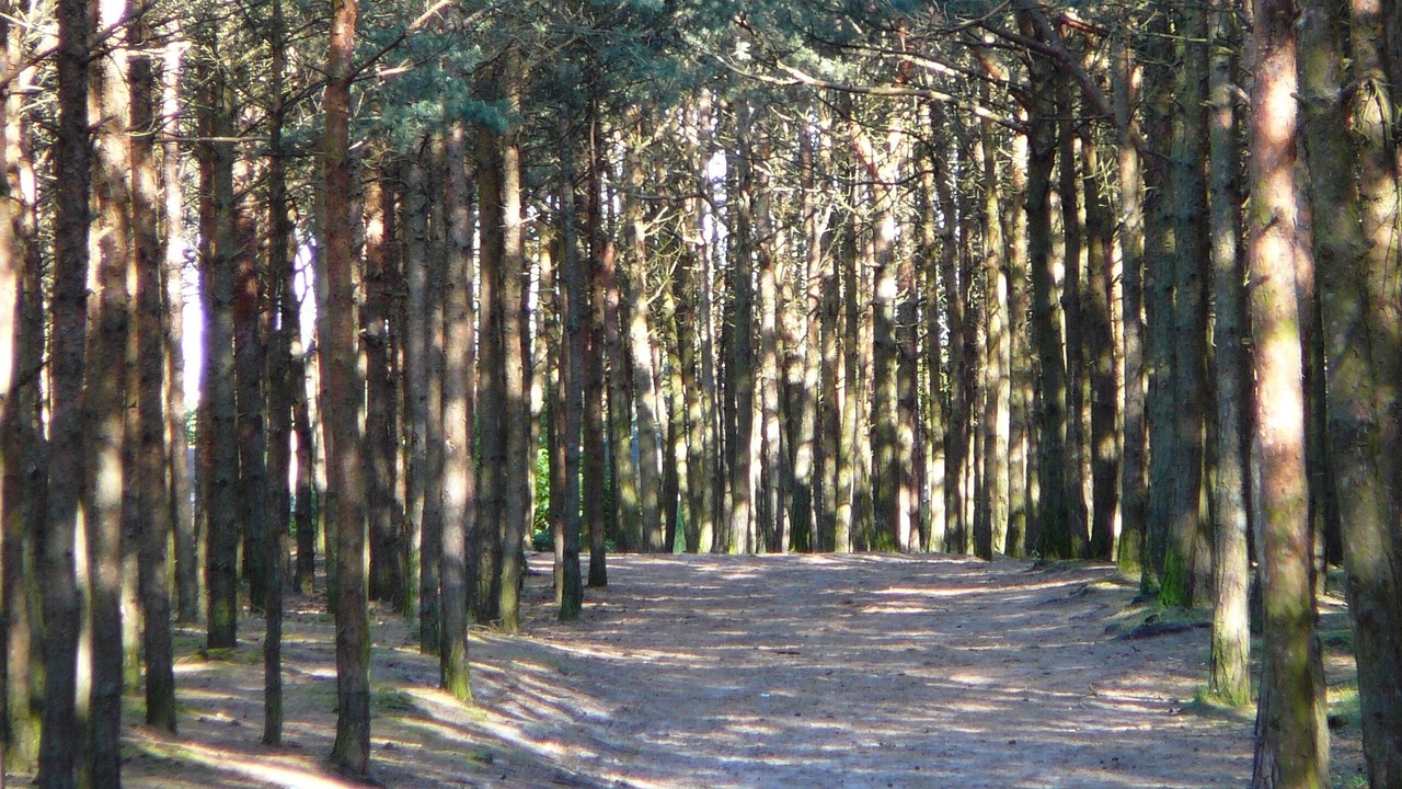 Photo of Outdoor in Chlapowo