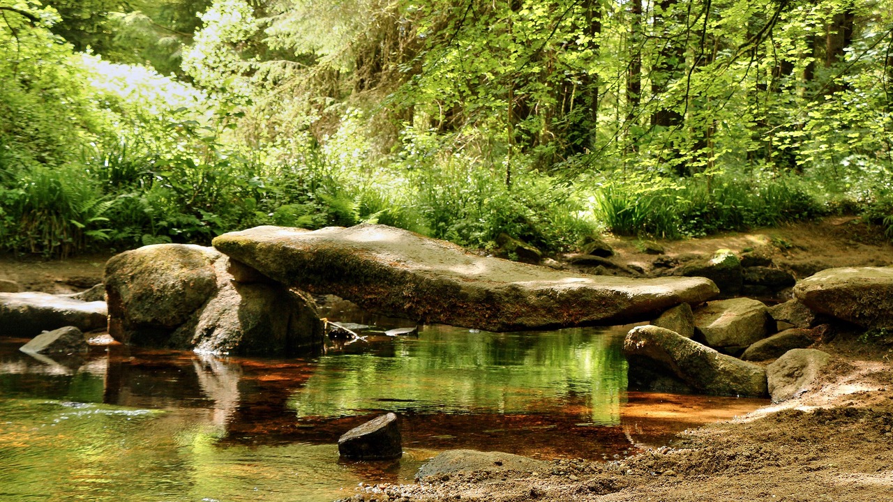 Photo of Outdoor in Huelgoat