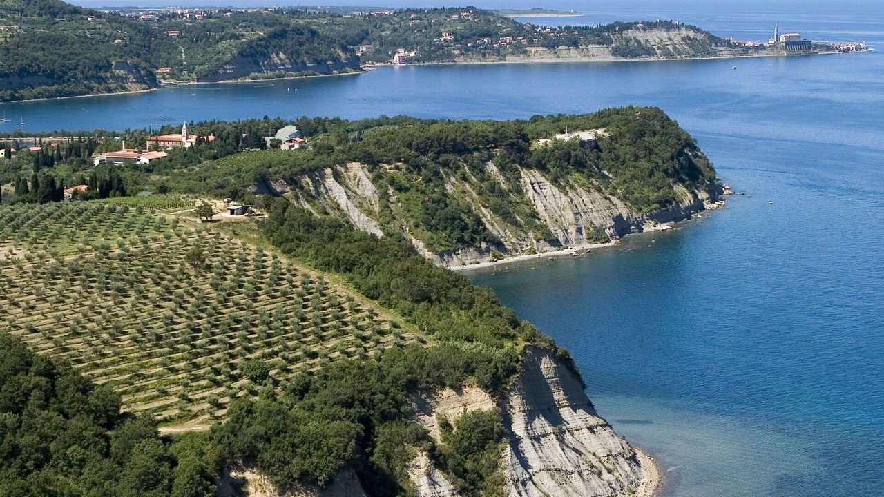 Photo of Outdoor in Strunjan
