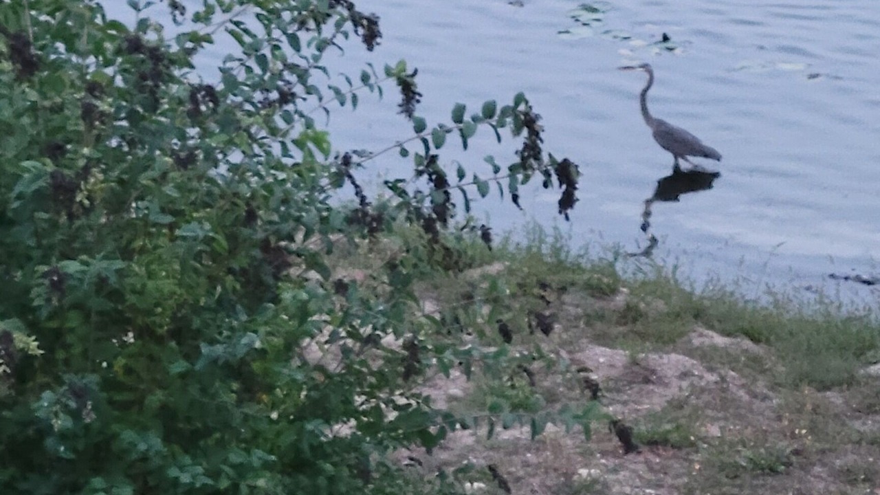 Photo of Outdoor in Campbellsport