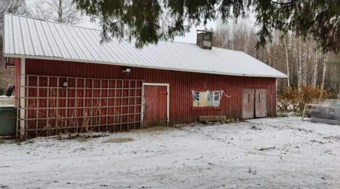 Photo of Outdoor in Raakkyla